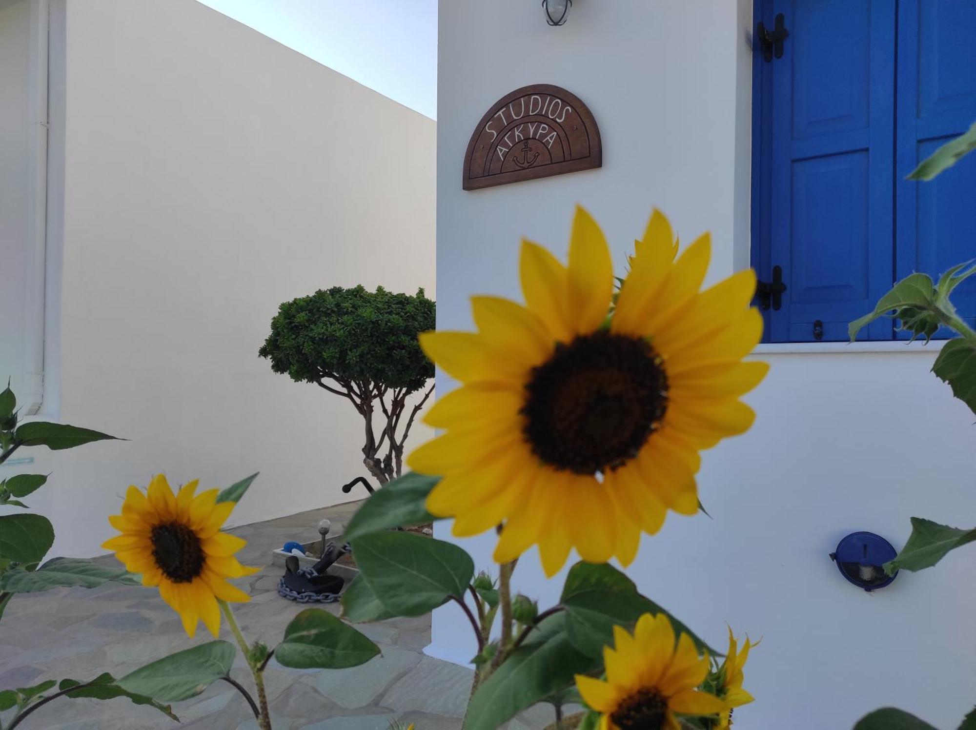 Studios Αγκυρα Livadi  Bagian luar foto