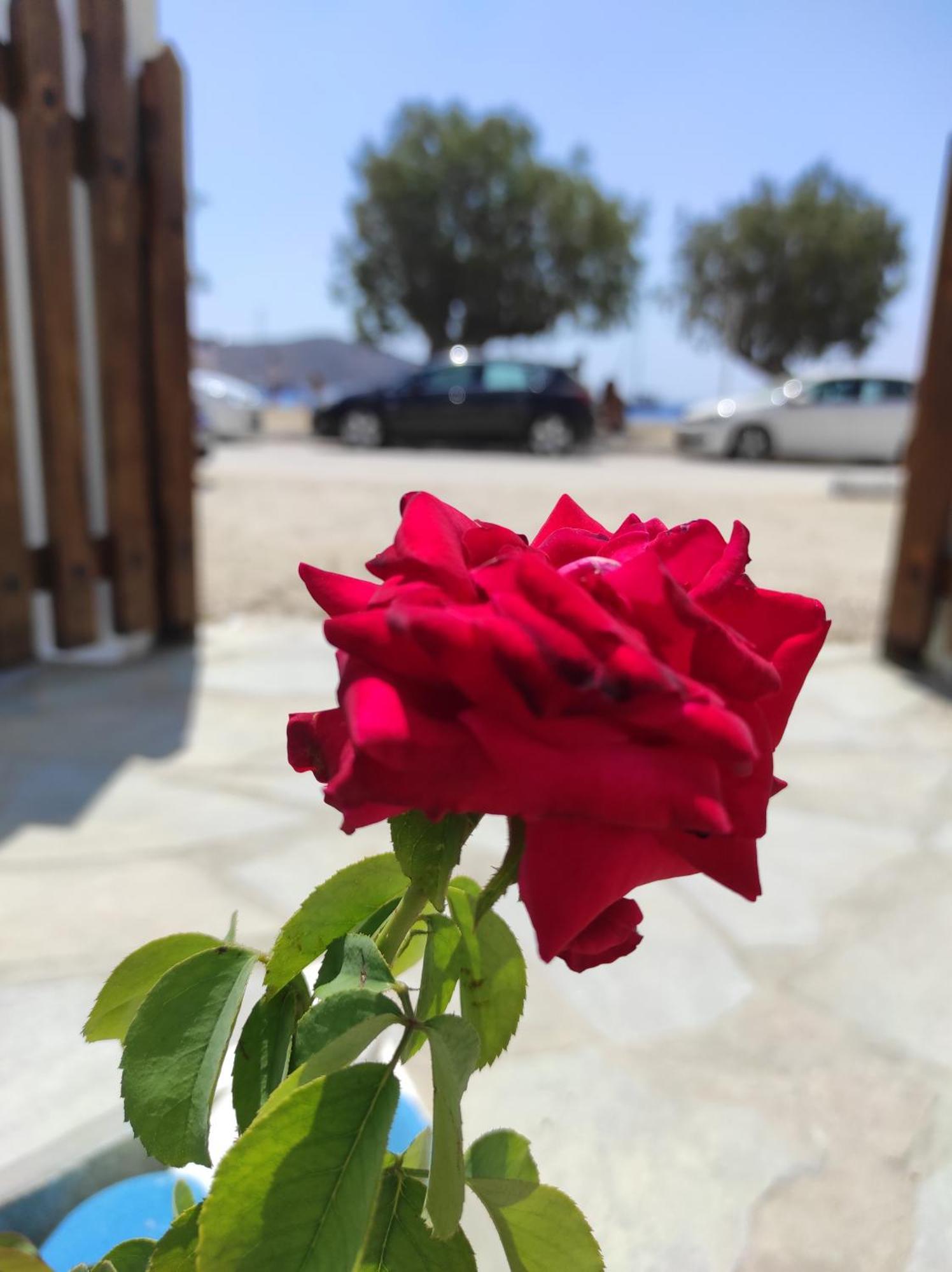 Studios Αγκυρα Livadi  Bagian luar foto